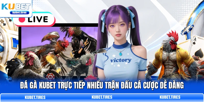 Đá gà KUBET trực tiếp nhiều trận đấu cá cược dễ dàng